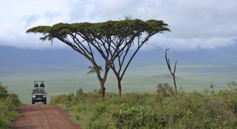 Safari from Arusha to Ngorongoro